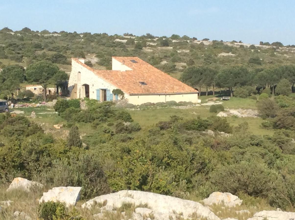הוילה Roquefort-des-Corbières Domaine Castelsec מראה חיצוני תמונה